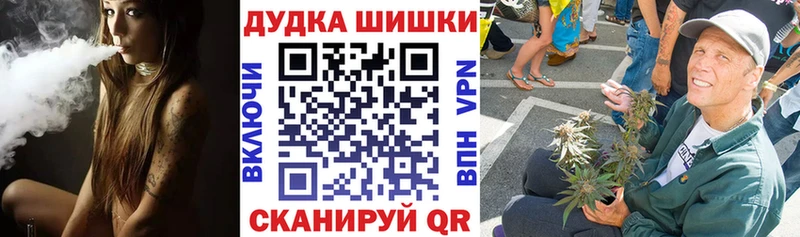МАРИХУАНА план  darknet какой сайт  Новотроицк 